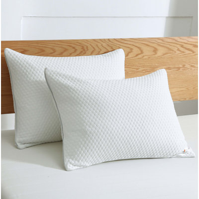 White NoiseCecily Medium Feathers queen Bed Pillow With Tencel Knit